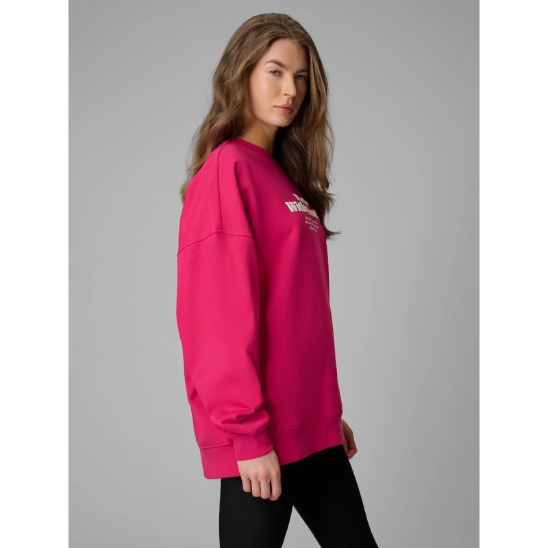 Women's oversize sweatshirt without hood 4F 4FRSS26TSWSF2993-53S 4f