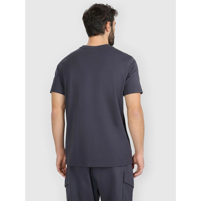 Men's regular printed T-shirt 4F 4FRAW25TTSHM3384-22S 4f