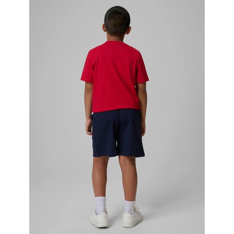 Boy's sweatpants 4F 4FJRSS26TSHOM0866-31S