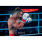 10oz Boxing Gloves - Spirit - Valor Series rękawice treningowe Your Sports Performance