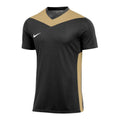 Nike Dri-FIT Park Derby IV M T-shirt FD7430-011 Clothing/Football Nike