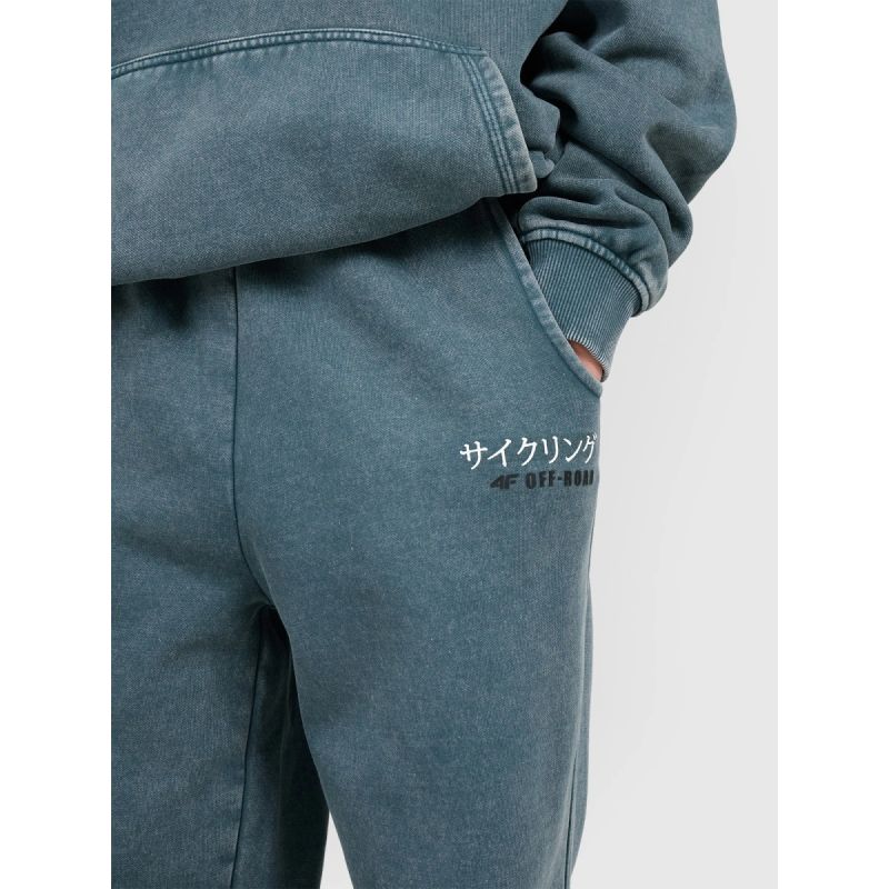 Boys' jogger sweatpants 4F 4FJRAW25TTROM1528-46S 4f