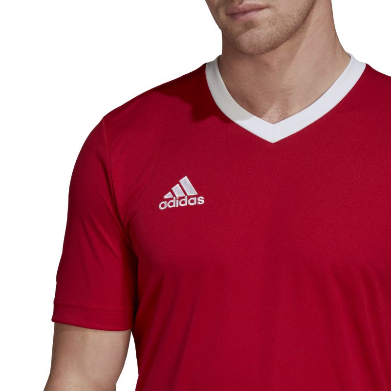 T-shirt adidas Entrada 22 M H61736 Clothing/Football Adidas