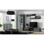 SOHO S6 2D2S display cabinet, grey/grey gloss Bufety i witryny/Bufety i witryny na drewnianej podstawie Your Sports Performance