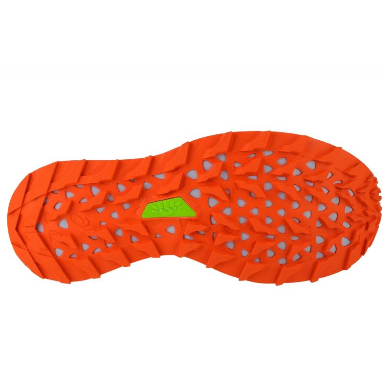 Asics Trabuco Max W 1012A901-005 shoes Footwear/Running/Women Asics