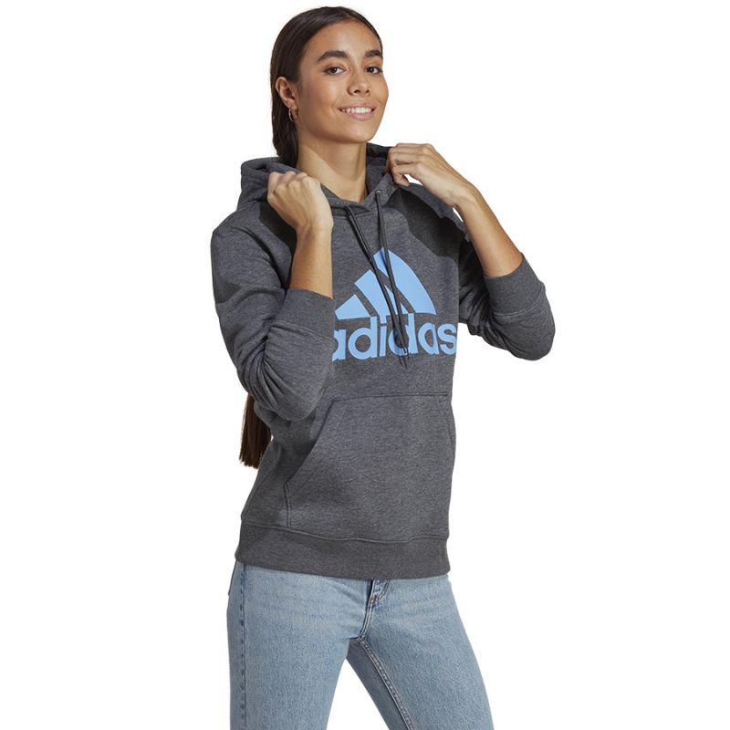 Sweatshirt adidas Big Logo FL R HD W IC9845 Clothing/Training Adidas
