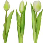 BOUQUET OF 7 WHITE TULIPS 31 CM LIFE-LIKE SPRING DECORATION Home and Garden/Equipment Your Sports Performance