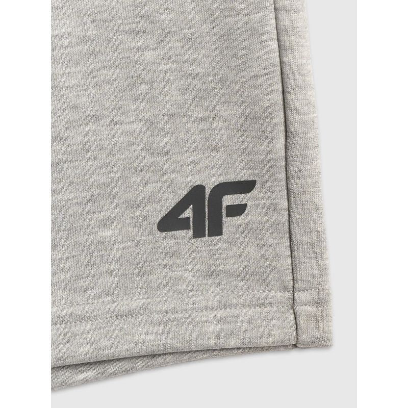 Men's sweatpants 4F 4FRSS26TSHOM0970-27M 4f
