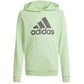 Adidas Big Logo Hoodie Jr IS2591 sweatshirt Clothing/Lifestyle Adidas