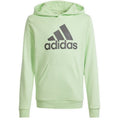 Adidas Big Logo Hoodie Jr IS2591 sweatshirt Clothing/Lifestyle Adidas