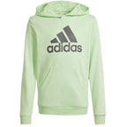 Adidas Big Logo Hoodie Jr IS2591 sweatshirt Clothing/Lifestyle Adidas