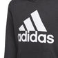 Adidas Essentials Jr GN4027 Hoodie Clothing/Lifestyle Adidas