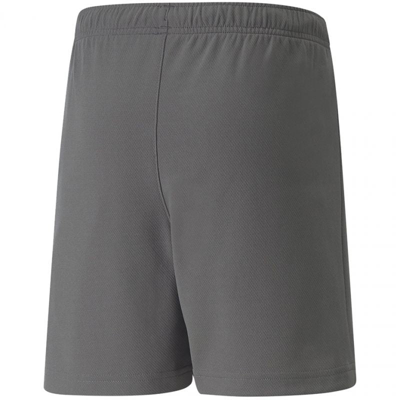 Puma teamRise Short Jr 704943 13 Clothing/Training Puma