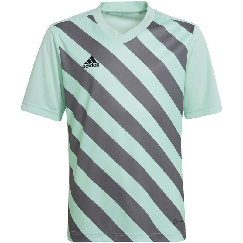 T-shirt adidas Entrada 22 Graphic Jersey Jr HF0127 Clothing/Football Adidas
