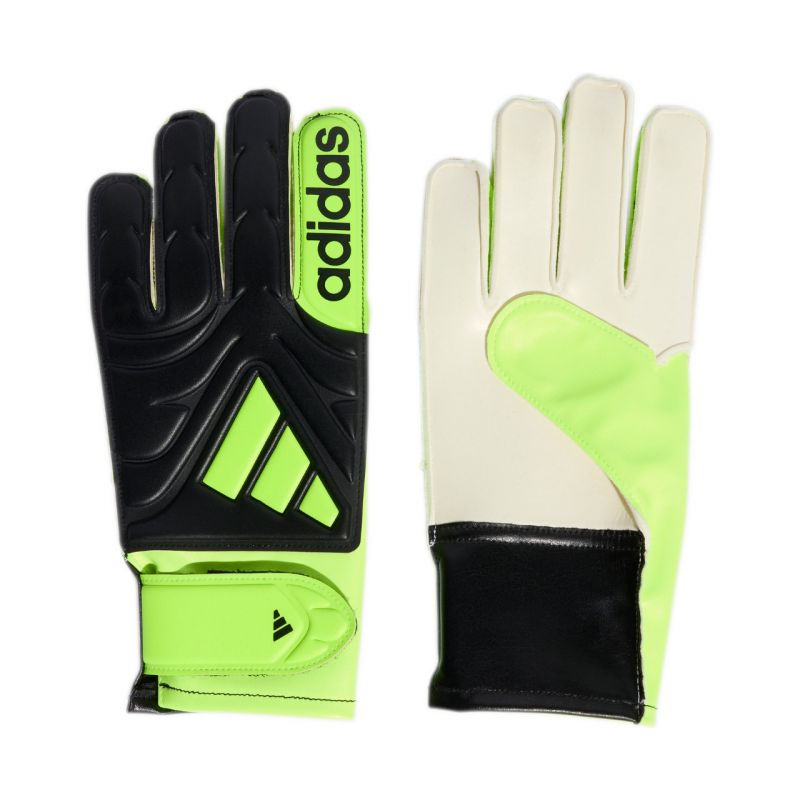 adidas Copa Club Jr JN5341 Goalkeeper Gloves Accessories/Gloves Adidas