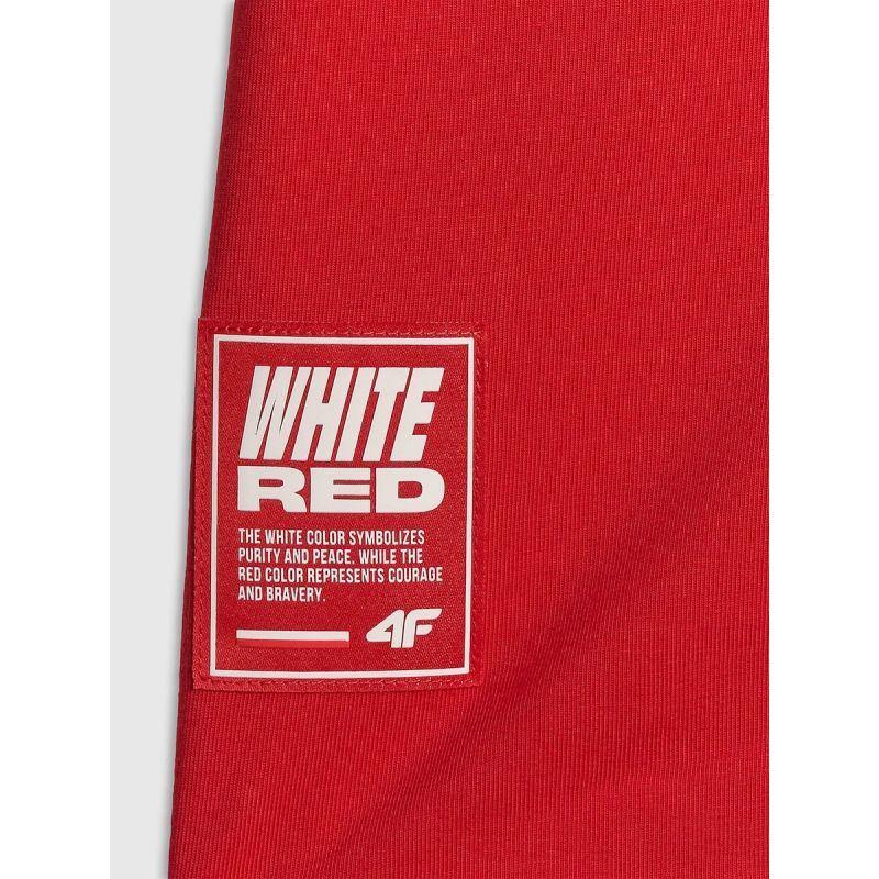 Men's cotton fan T-shirt 4F 4FRSS26TTSHM4200-62S