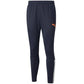Puma teamLIGA Training Pants M 657242 47 Clothing/Training Puma