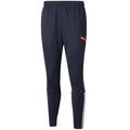Puma teamLIGA Training Pants M 657242 47 Clothing/Training Puma