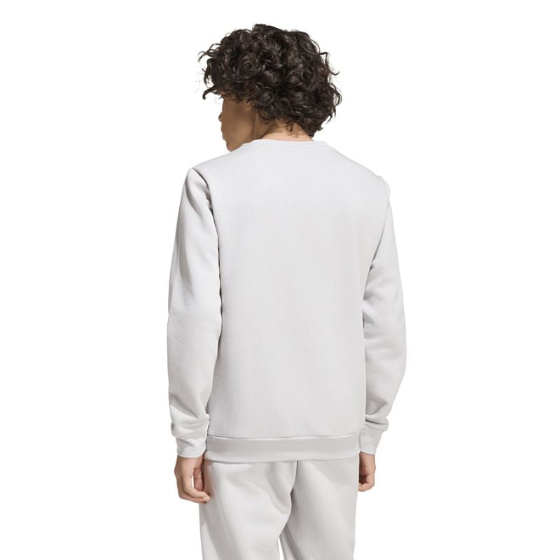 adidas Entrada 26 Sweat Top for kids gray JZ6551 To be categorized Your Sports Performance