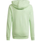 Adidas Big Logo Hoodie Jr IS2591 sweatshirt Clothing/Lifestyle Adidas