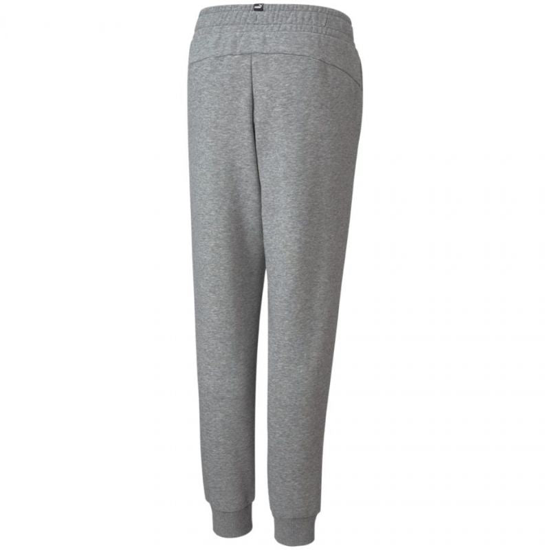 Puma ESS Logo Pants FL Jr 586973 03 Clothing/Training Puma