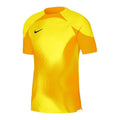 Nike Dri-FIT ADV Gardien 4 M DH7760-719 goalkeeper jersey Clothing/Football Nike