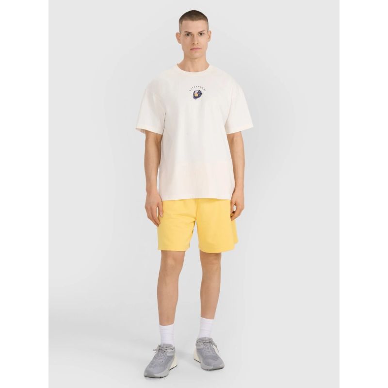 T-shirt 4F M 4FRSS25TTSHM2981-11S 4f