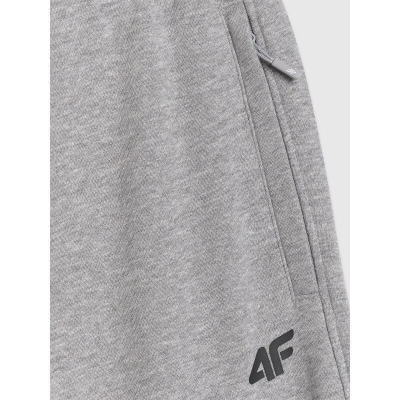 Men's jogger sweatpants 4F 4FRMM00TTROM1624-27M *Kategoria tymczasowa Your Sports Performance