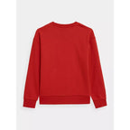 Sweatshirt 4F Jr. 4FJSS23TSWSM222-62S Clothing/Lifestyle/4F 4F