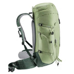 Deuter Trail 30 I hiking backpack, grove/ivy Bagaż/Plecaki Your Sports Performance