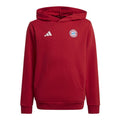 Adidas Bayern Munich Jr IT4134 sweatshirt Clothing/Football Adidas