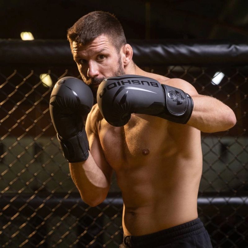 10oz Boxing Gloves - Raptor - Origin Series rękawice treningowe Your Sports Performance