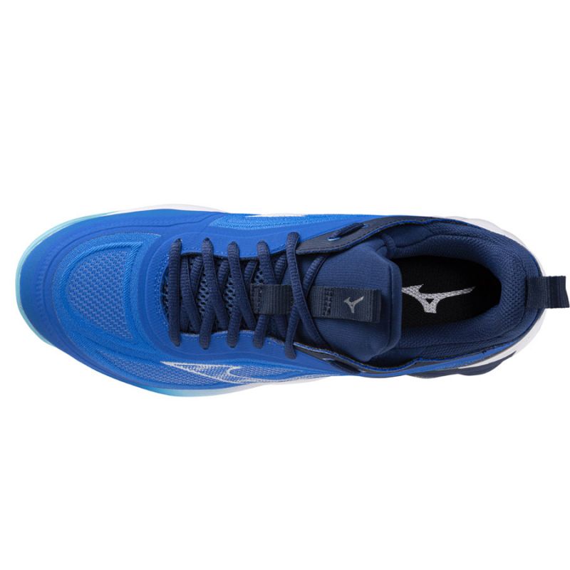 Mizuno WAVE LUMINOUS 3 M V1GA242001 shoes Footwear/Volleyball/Men Mizuno