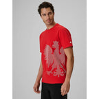 Men's cotton fan T-shirt 4F 4FRSS26TTSHM4200-62S