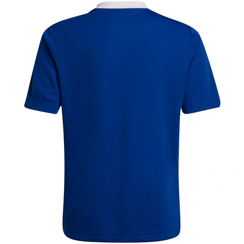 T-shirt adidas Entrada 22 Jsy Jr HG3948 Clothing/Football Adidas