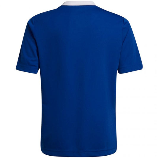 T-shirt adidas Entrada 22 Jsy Jr HG3948 Clothing/Football Adidas