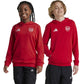 Adidas Arsenal London Jr IT4091 sweatshirt Clothing/Football Adidas