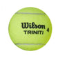 Wilson Triniti Club WR8201501001 tennis ball Accessories/Balls/Tennis Your Sports Performance