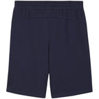 Puma teamGOAL Casuals M shorts 658608 06 Clothing/Training Puma