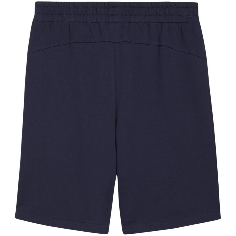 Puma teamGOAL Casuals M shorts 658608 06 Clothing/Training Puma