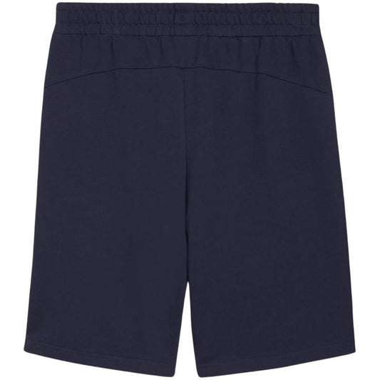 Puma teamGOAL Casuals M shorts 658608 06 Clothing/Training Puma