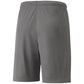 Puma teamLIGA M 704924 13 shorts Clothing/Training Your Sports Performance