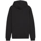 Puma Team Goal Casuals Hooded M 658595 03 sweatshirt Clothing/Football Puma
