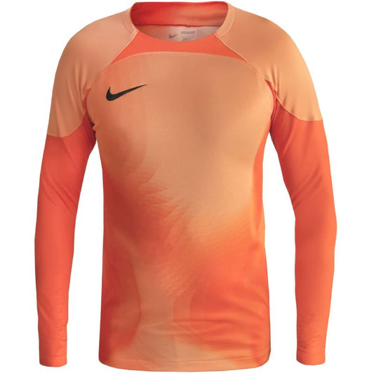 Nike Gardien IV Goalkeeper JSY M DH7967 819 goalkeeper jersey Clothing/Football Nike