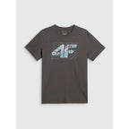 Men's regular printed T-shirt 4F 4FRSS26TTSHM4295-22S