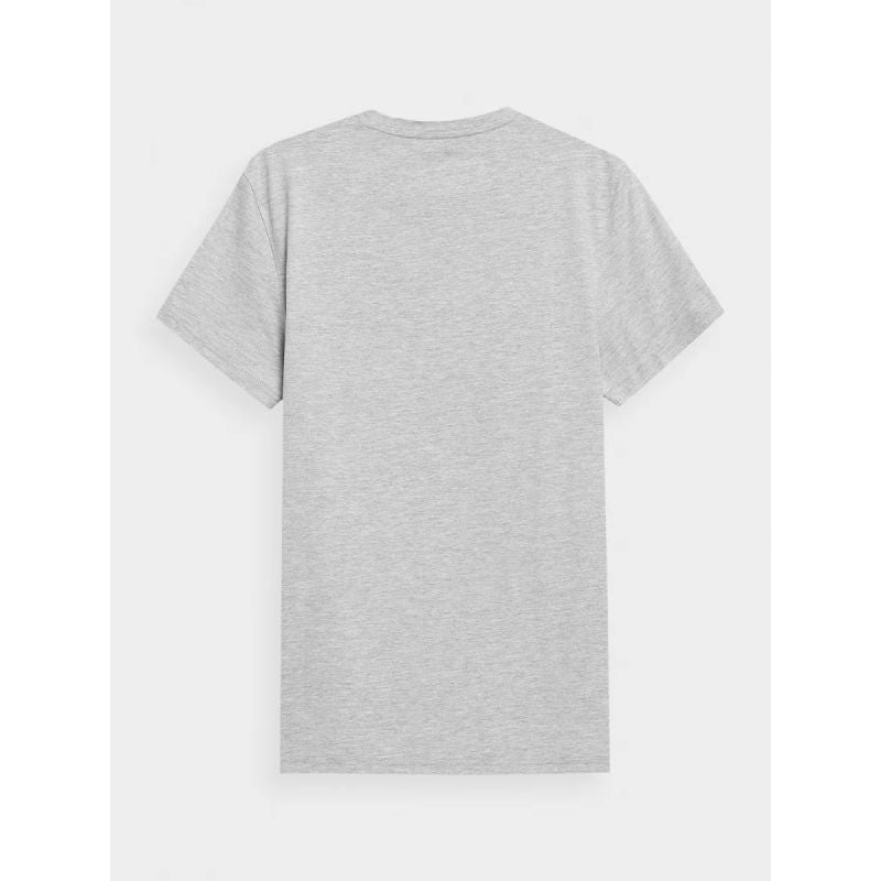 Men's regular printed T-shirt 4F 4FWMM00TTSHM1844-27M *Kategoria tymczasowa Your Sports Performance
