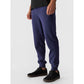Men's jogger sweatpants 4F 4FWMM00TTROM0942-31S *Kategoria tymczasowa Your Sports Performance