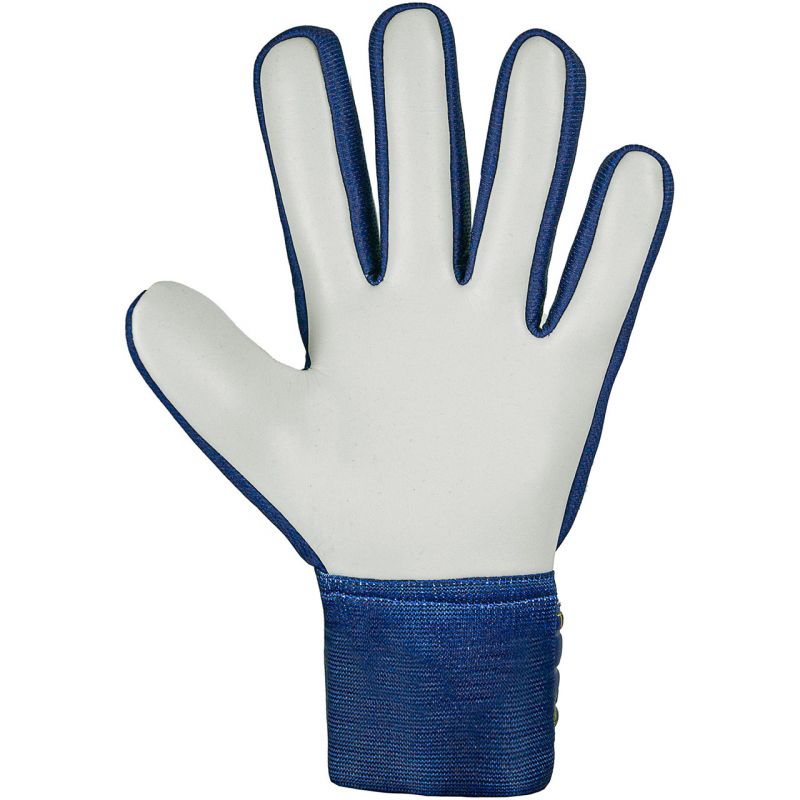 Reusch Attrakt Starter Solid Junior goalkeeper gloves 5472514 4409 Accessories/Gloves Your Sports Performance