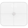 ADLER AD 8187w bathroom scale white AGD - Produkty/Wagi łazienkowe Your Sports Performance