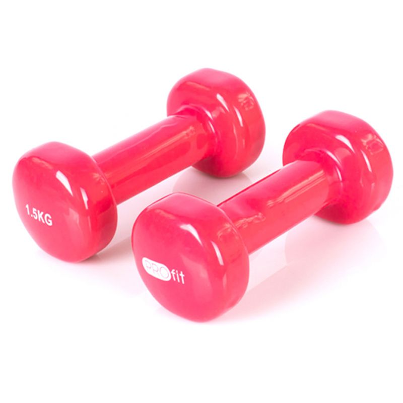 Vinyl dumbbell PROfit 0.5kg DK 4102